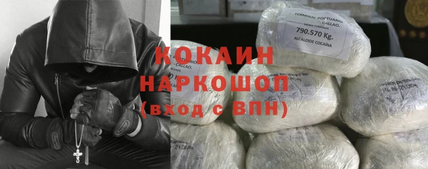 трава Аркадак