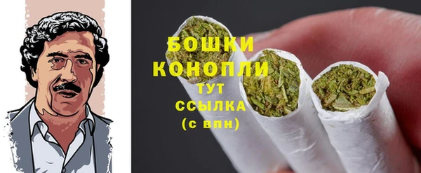 трава Аркадак